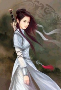 [陆小凤] 受镜折腾