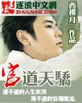 《官道天骄》