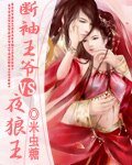 《断袖王爷VS夜狼王》