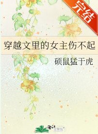 《穿越文里的女主伤不起》