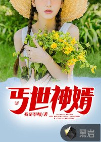 《丐世神婿》