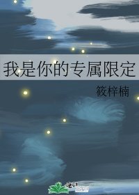 《我是你的专属限定》