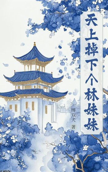 天上掉下个林妹妹
