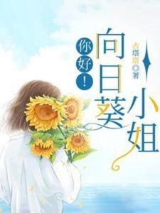 你好!向日葵小 姐
