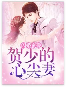 闪婚蜜爱:贺少的心尖妻